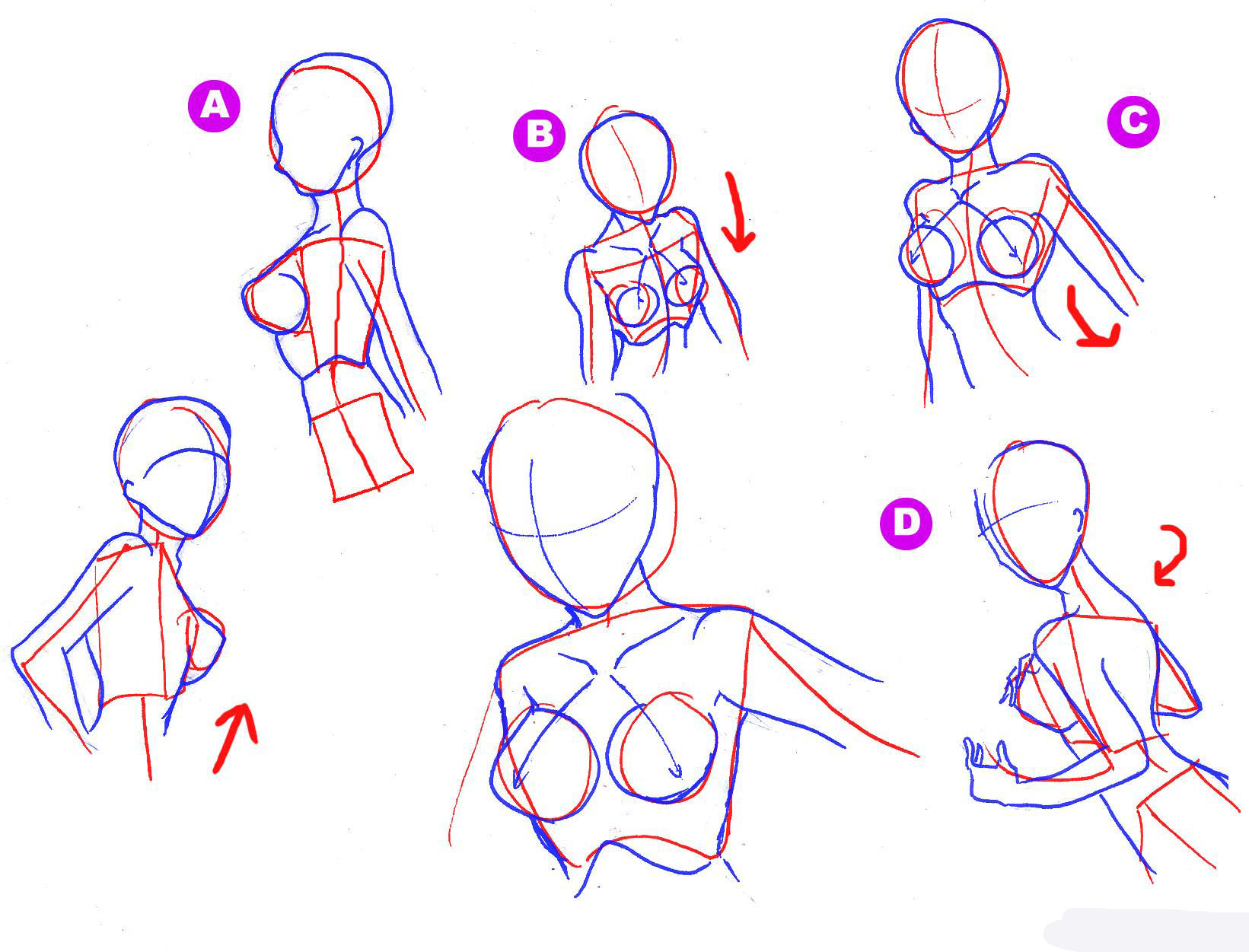 how-to-draw-breasts-step-8_1_000000040239_5