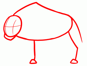 how-to-draw-buffalo-bison-step-1_1_000000129457_3