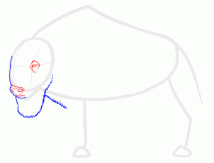 how-to-draw-buffalo-bison-step-3_1_000000129461_3