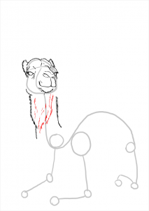 how-to-draw-camels-step-15_1_000000112189_3