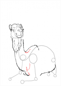how-to-draw-camels-step-17_1_000000112193_3