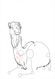 how-to-draw-camels-step-18_1_000000112195_3