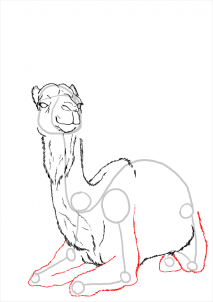 how-to-draw-camels-step-19_1_000000112197_3