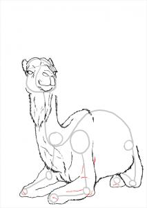 how-to-draw-camels-step-20_1_000000112199_3