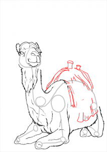 how-to-draw-camels-step-21_1_000000112201_3