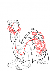 how-to-draw-camels-step-22_1_000000112203_3
