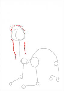 how-to-draw-camels-step-8_1_000000112175_3