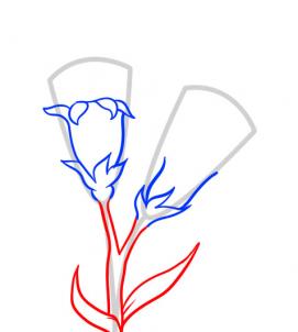 how-to-draw-carnations-step-3_1_000000054921_3
