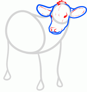 how-to-draw-cattle-step-3_1_000000129915_3