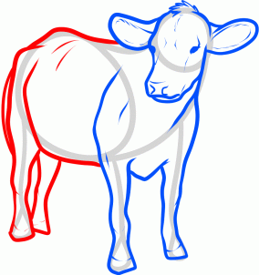 how-to-draw-cattle-step-5_1_000000129919_3
