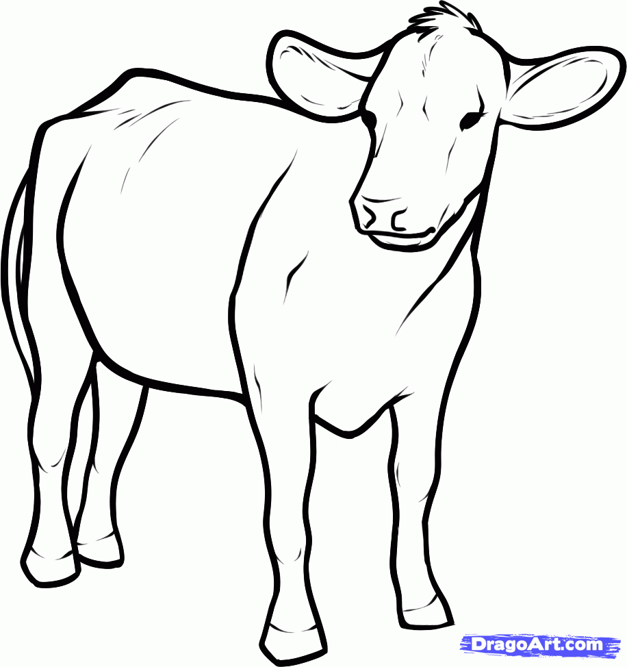 how-to-draw-cattle-step-6_1_000000129921_5