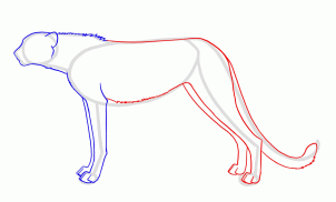 how-to-draw-cheetahs-cheetah-cat-step-4_1_000000125721_3