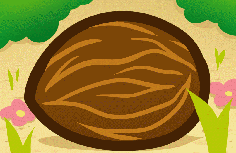 how-to-draw-coconuts_1_000000012827_5