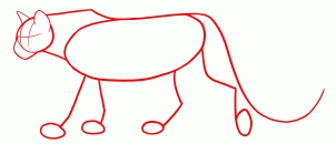 how-to-draw-cougars-mountain-lion-step-7_1_000000131449_3