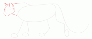 how-to-draw-cougars-mountain-lion-step-8_1_000000131451_3