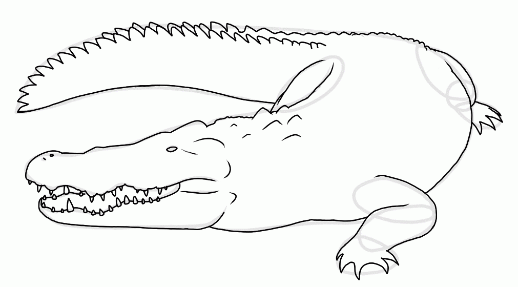 how-to-draw-crocodiles-step-9_1_000000128639_5