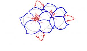 how-to-draw-flower-designs-step-5_1_000000052741_3