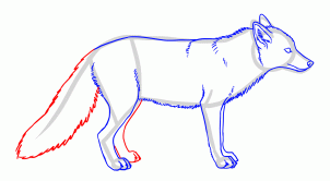 how-to-draw-foxes-step-13_1_000000155236_3