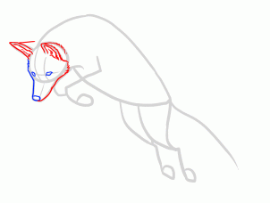 how-to-draw-foxes-step-18_1_000000155241_3