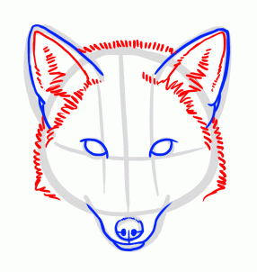 how-to-draw-foxes-step-4_1_000000155227_3