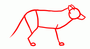 how-to-draw-foxes-step-7_1_000000155230_3