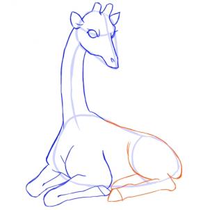 how-to-draw-giraffes-step-11_1_000000051383_3