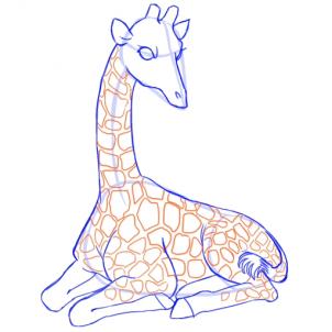how-to-draw-giraffes-step-13_1_000000051387_3