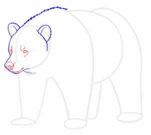 how-to-draw-grizzly-bears-step-12_1_000000128911_3