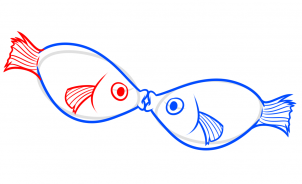 how-to-draw-kissing-fish-step-5_1_000000187578_3