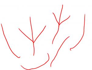 how-to-draw-leaves-step-1_1_000000013843_3