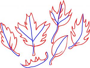how-to-draw-leaves-step-2_1_000000013844_3