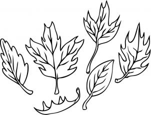 how-to-draw-leaves-step-4_1_000000013846_3