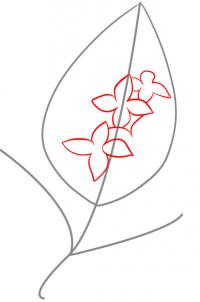 how-to-draw-lilacs-step-2_1_000000032399_3