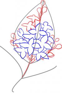 how-to-draw-lilacs-step-4_1_000000032403_3