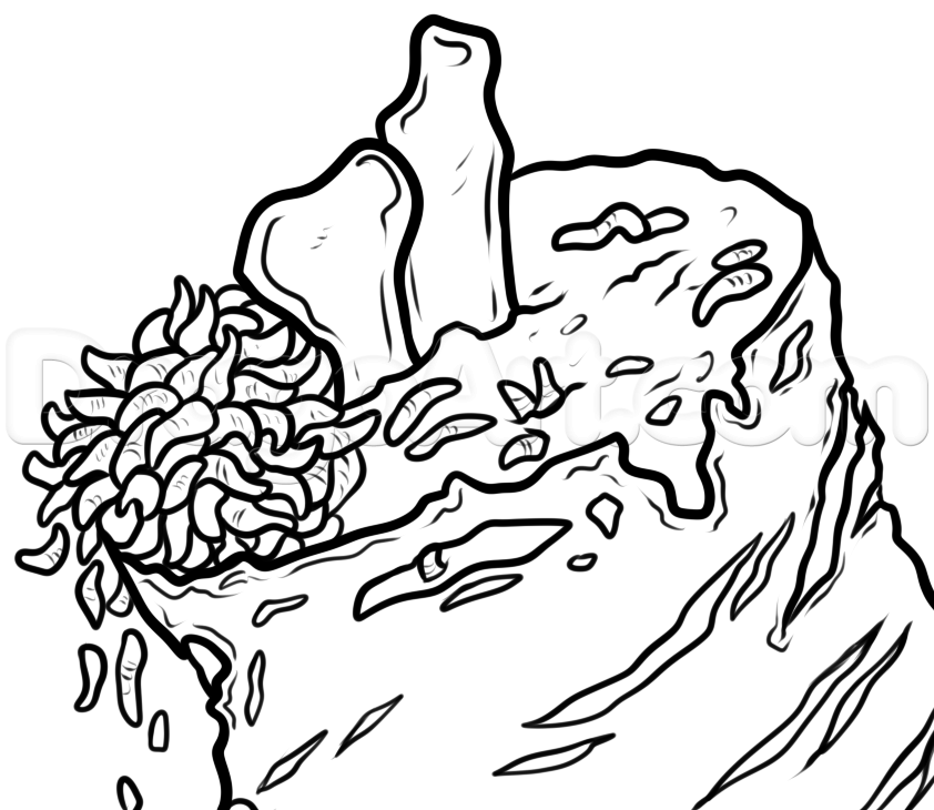 how-to-draw-maggots-step-5_1_000000186611_5