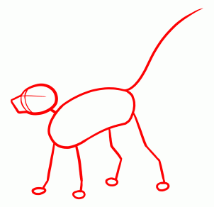 how-to-draw-meerkats-step-1_1_000000127643_3