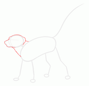 how-to-draw-meerkats-step-2_1_000000127645_3