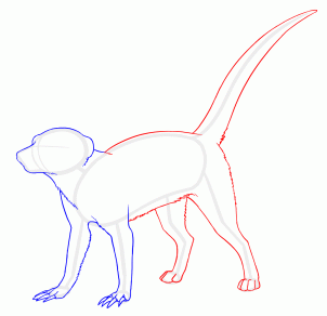 how-to-draw-meerkats-step-4_1_000000127649_3