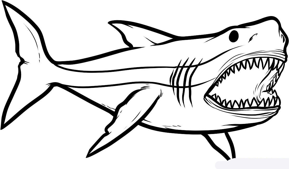 how-to-draw-megalodon-megalodon-shark-step-6_1_000000085955_5