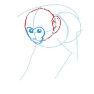 how-to-draw-monkeys-step-8_1_000000047127_3