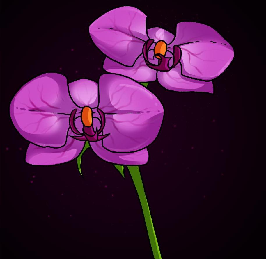 how-to-draw-orchids_1_000000003946_5
