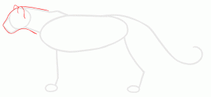 how-to-draw-panthers-black-panthers-step-3_1_000000127103_3