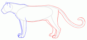 how-to-draw-panthers-black-panthers-step-5_1_000000127107_3