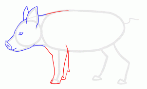 how-to-draw-piglets-step-10_1_000000135615_3