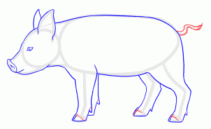 how-to-draw-piglets-step-12_1_000000135619_3