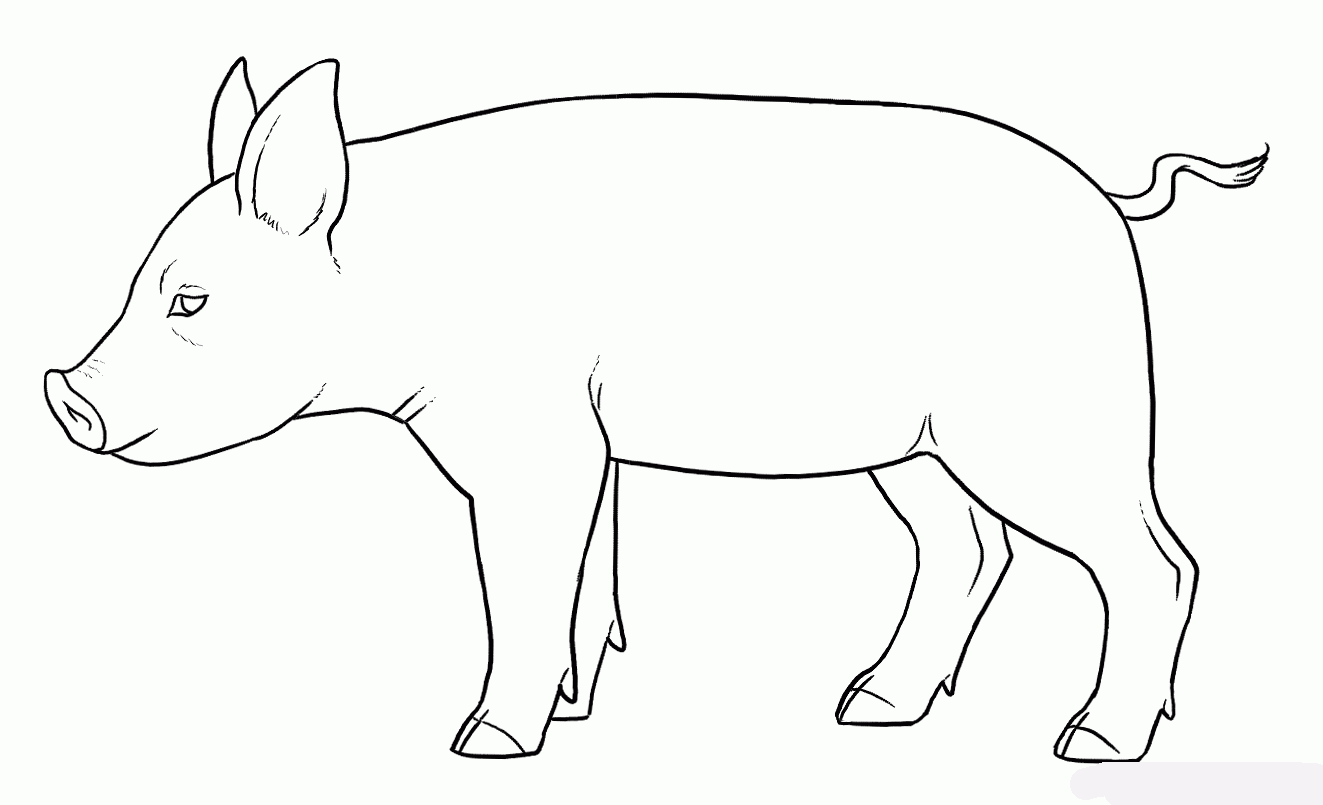 how-to-draw-piglets-step-13_1_000000135621_5