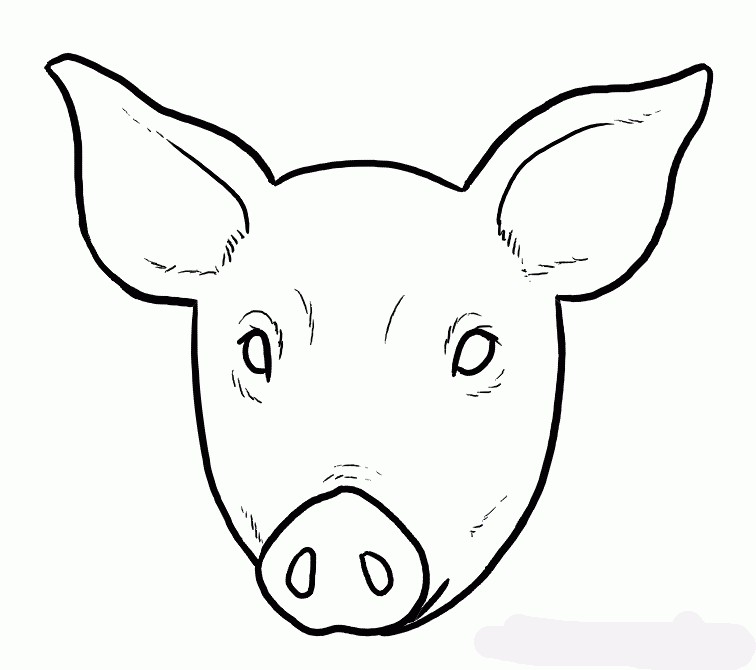 how-to-draw-piglets-step-5_1_000000135605_5