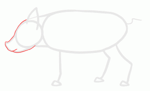 how-to-draw-piglets-step-7_1_000000135609_3