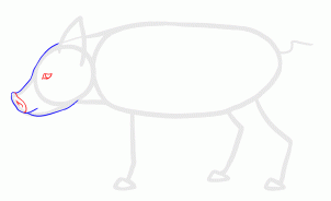 how-to-draw-piglets-step-8_1_000000135611_3