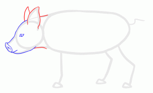how-to-draw-piglets-step-9_1_000000135613_3
